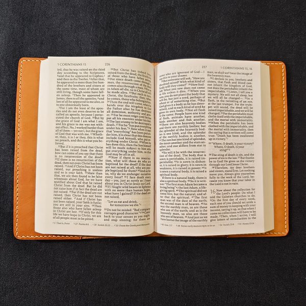 leather bible cover basic black background bible